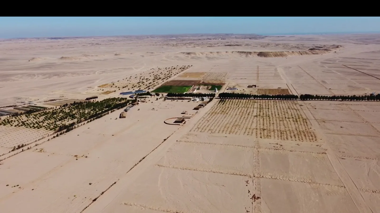 Scorpion Safari experience in the desert