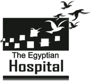 The Egyptian Hospital